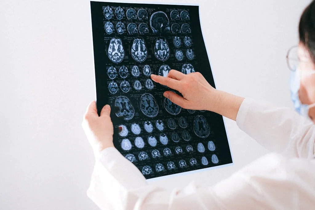 Cross-Border Expansion Infrastructure Build